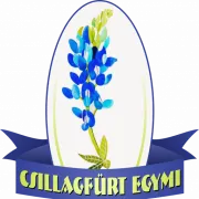 Csillagfürt Óvoda, Általános Iskola, Szakiskola, Készségfejlesztő Iskola, Fejlesztő Nevelést-Oktatást Végző Iskola, Kollégium és Egységes Gyógypedagógiai Módszertani Intézmény logója