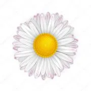 Hatvani Százszorszép Óvoda logója