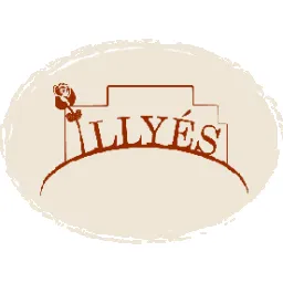 Pécsi Illyés Gyula Általános Iskola logója