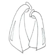 Szent Anna Római Katolikus Óvoda logója